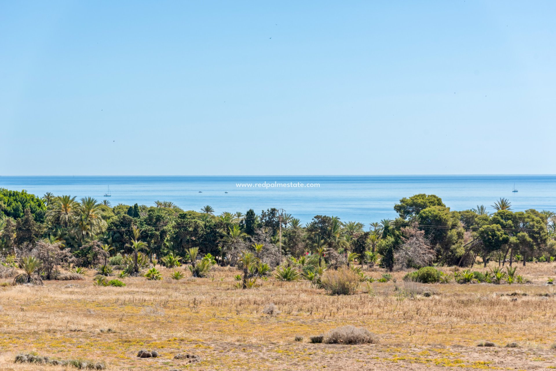 Revente - Appartements -
Torrevieja - Beachside