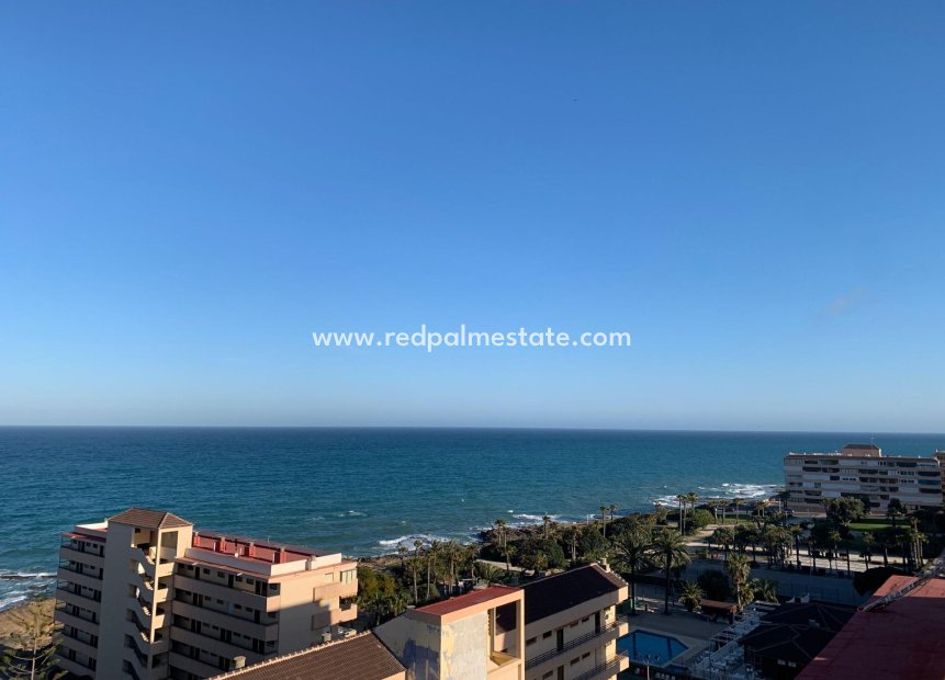 Revente - Appartements -
Torrevieja - Cabo cervera