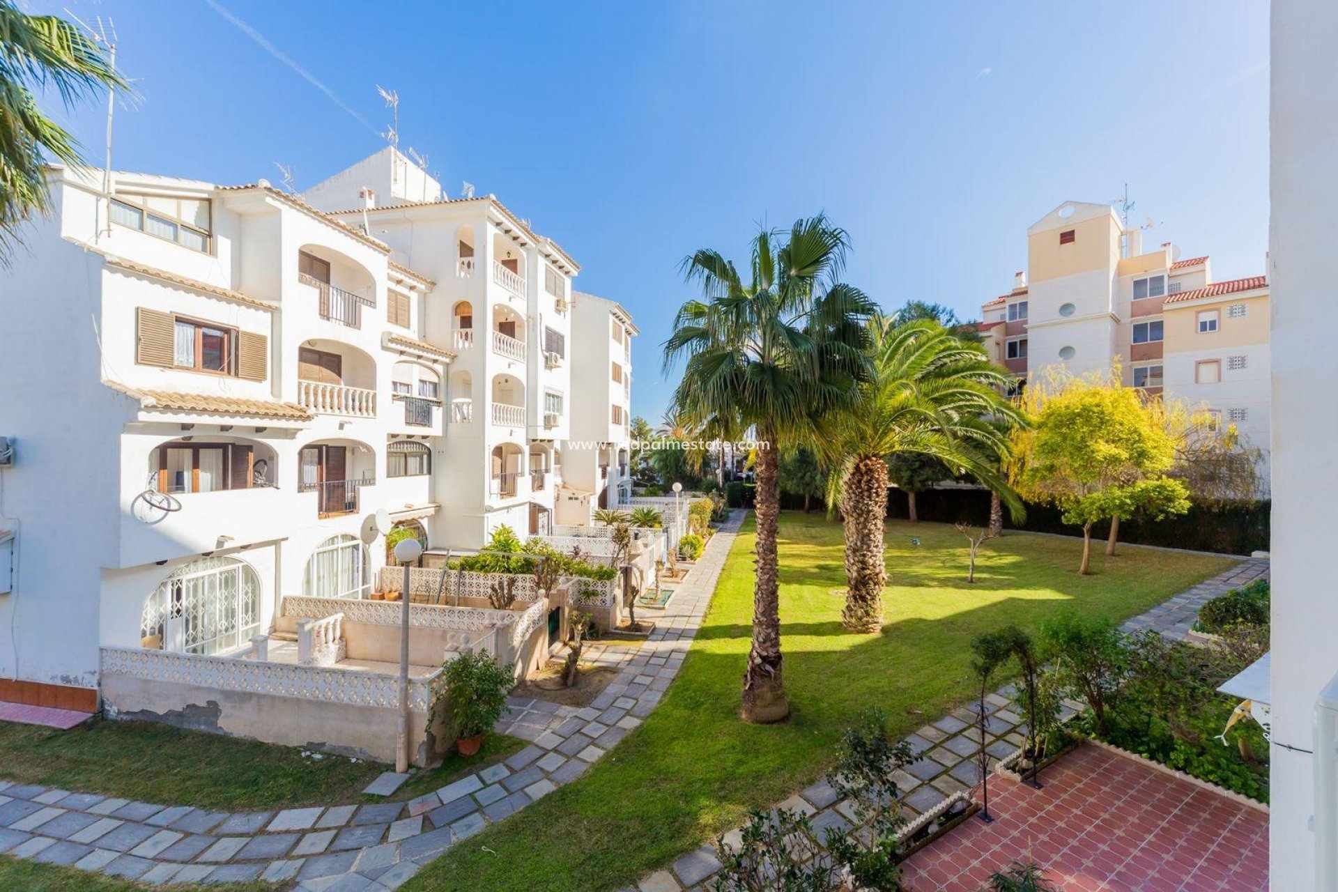 Revente - Appartements -
Torrevieja - Calas blanca