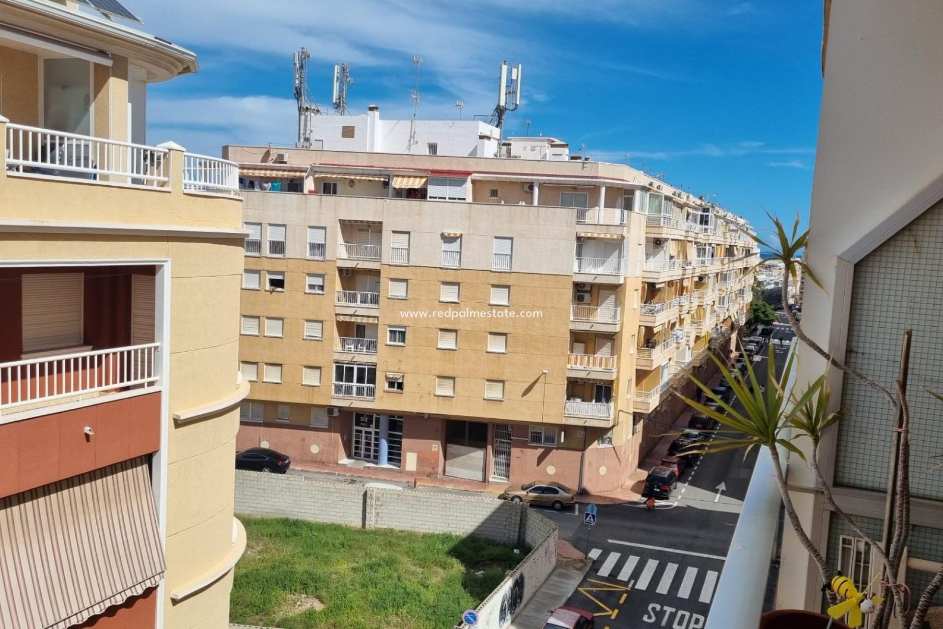 Revente - Appartements -
Torrevieja - Centro Torrevieja