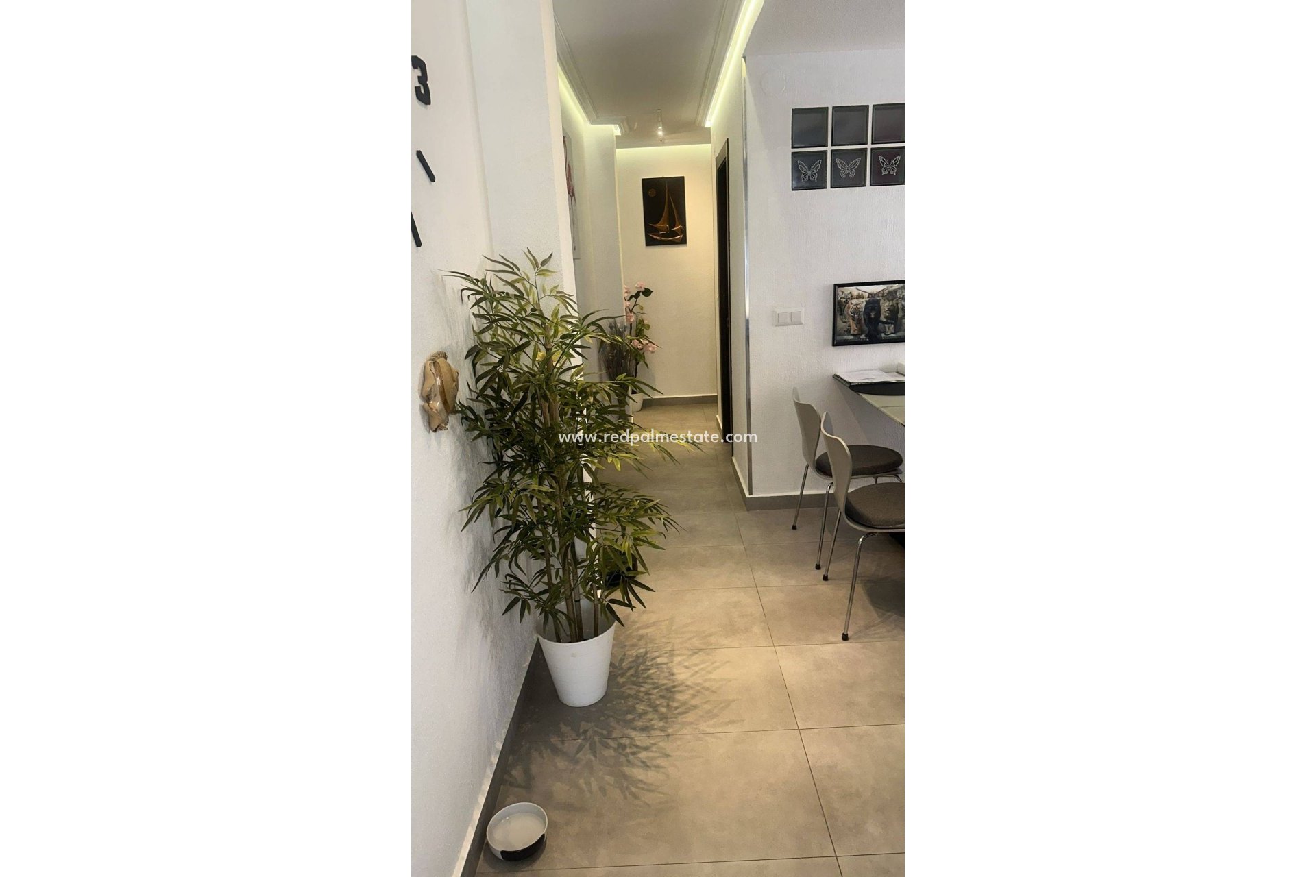 Revente - Appartements -
Torrevieja - Centro Torrevieja