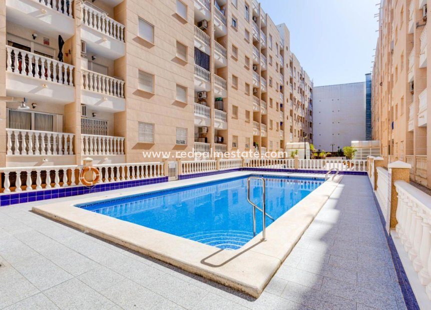 Revente - Appartements -
Torrevieja - Centro Torrevieja