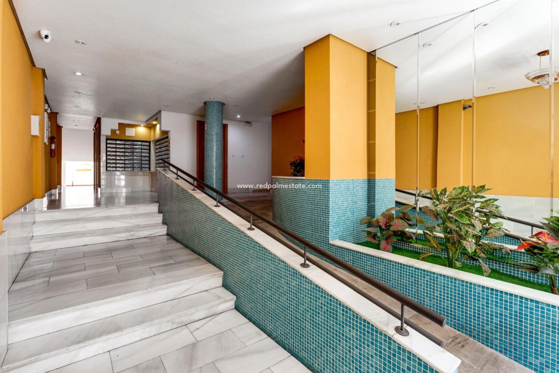 Revente - Appartements -
Torrevieja - Centro Torrevieja