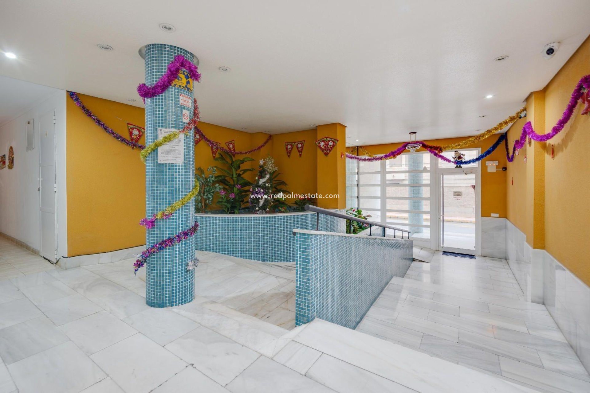 Revente - Appartements -
Torrevieja - Centro Torrevieja