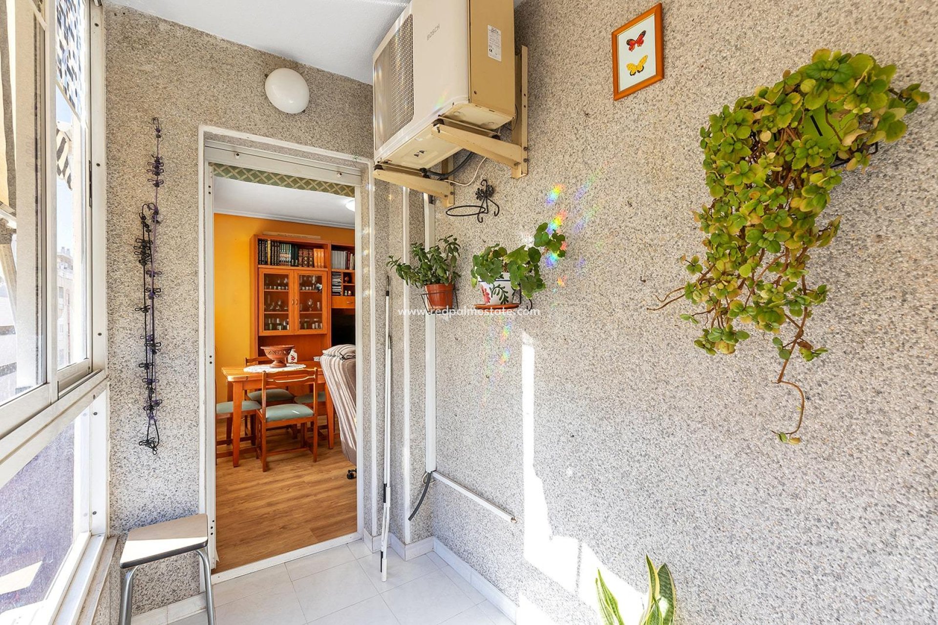 Revente - Appartements -
Torrevieja - Centro Torrevieja