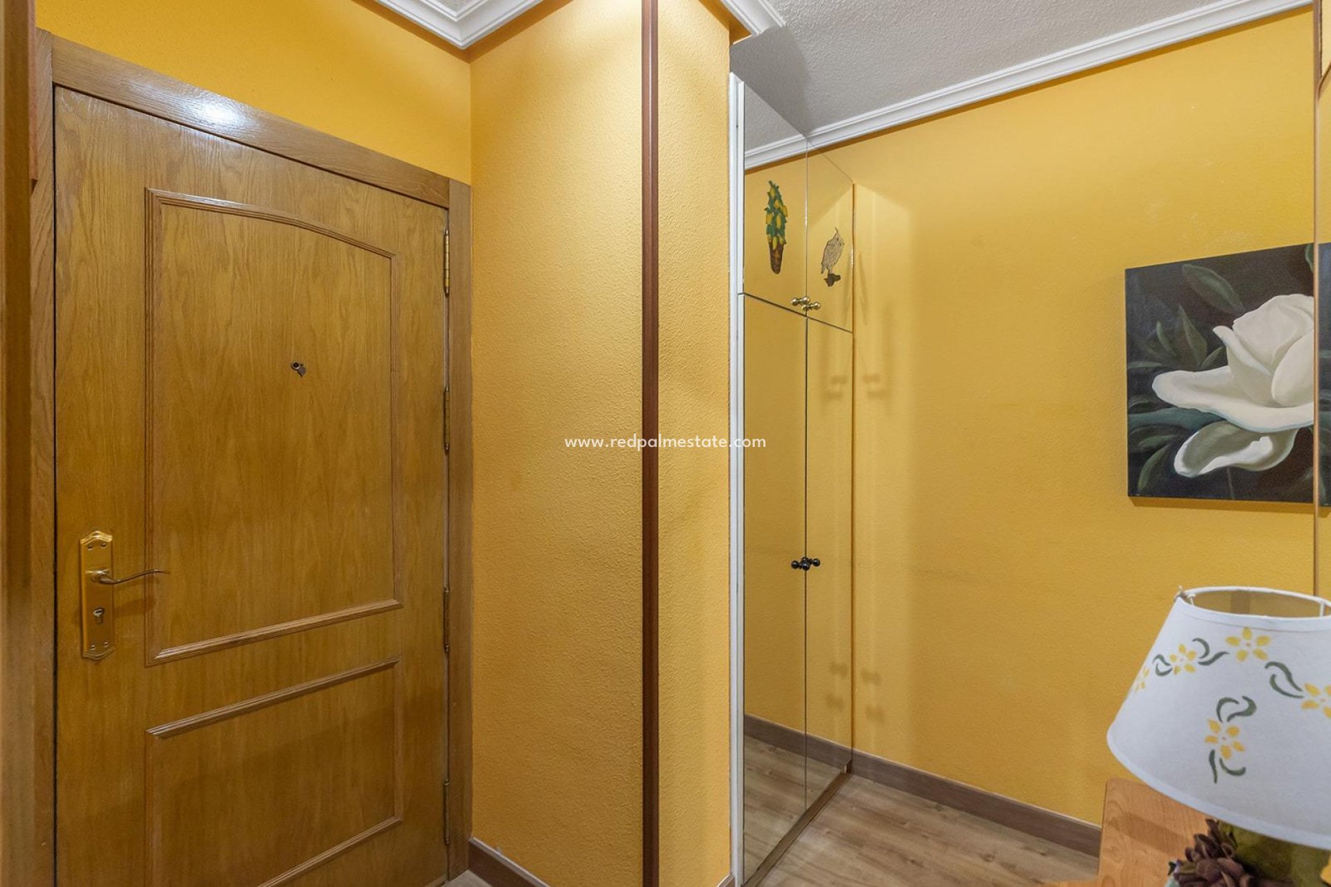 Revente - Appartements -
Torrevieja - Centro Torrevieja