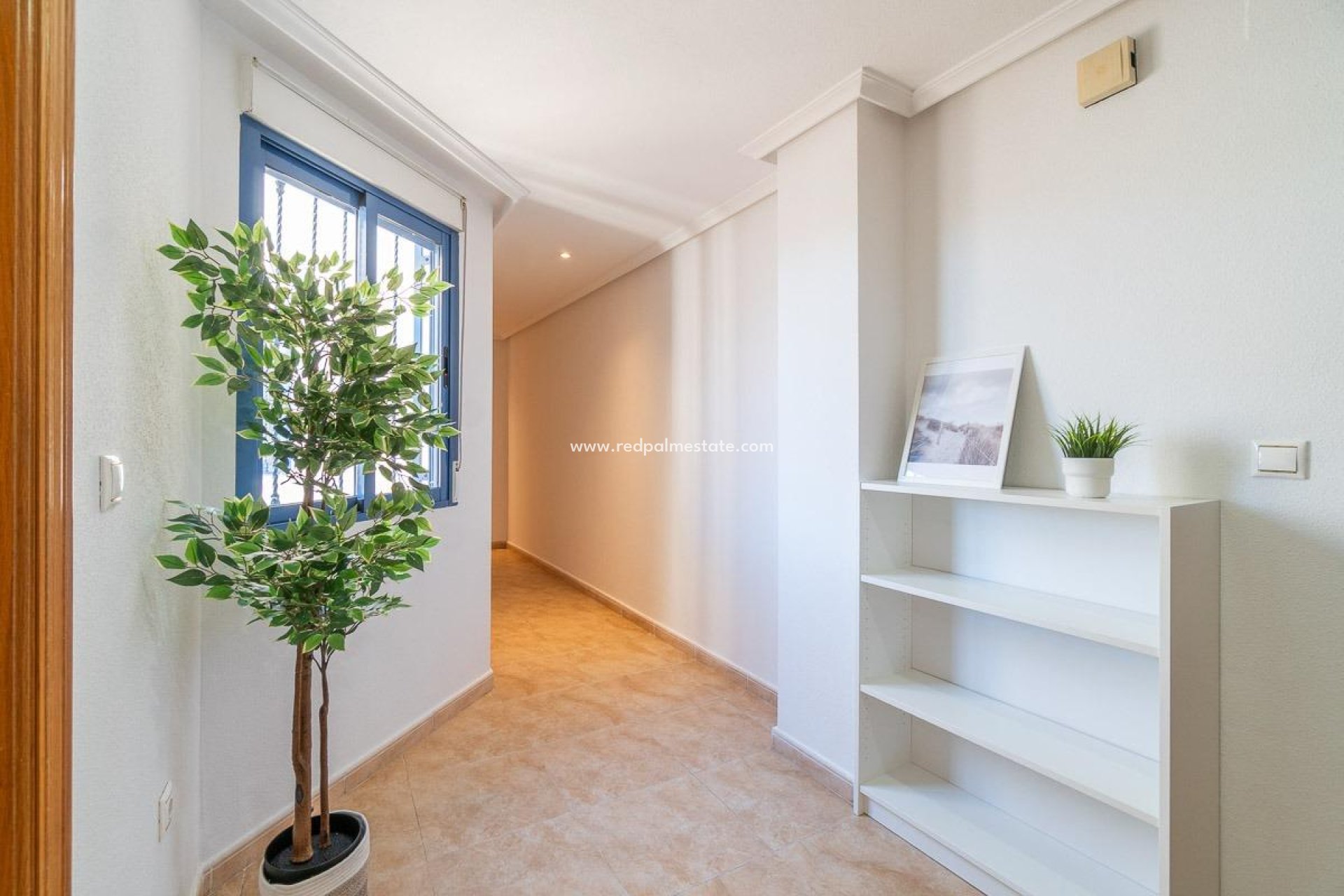 Revente - Appartements -
Torrevieja - Centro Torrevieja