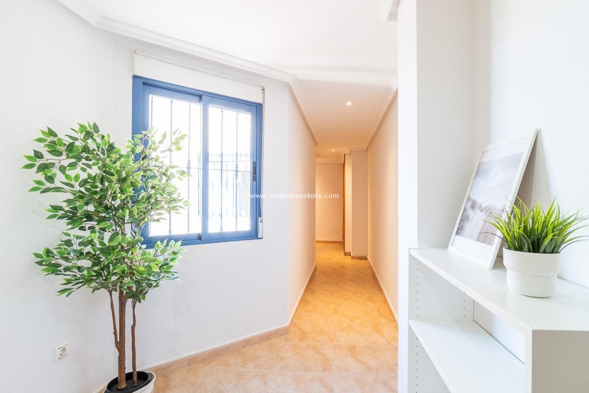 Revente - Appartements -
Torrevieja - Centro Torrevieja