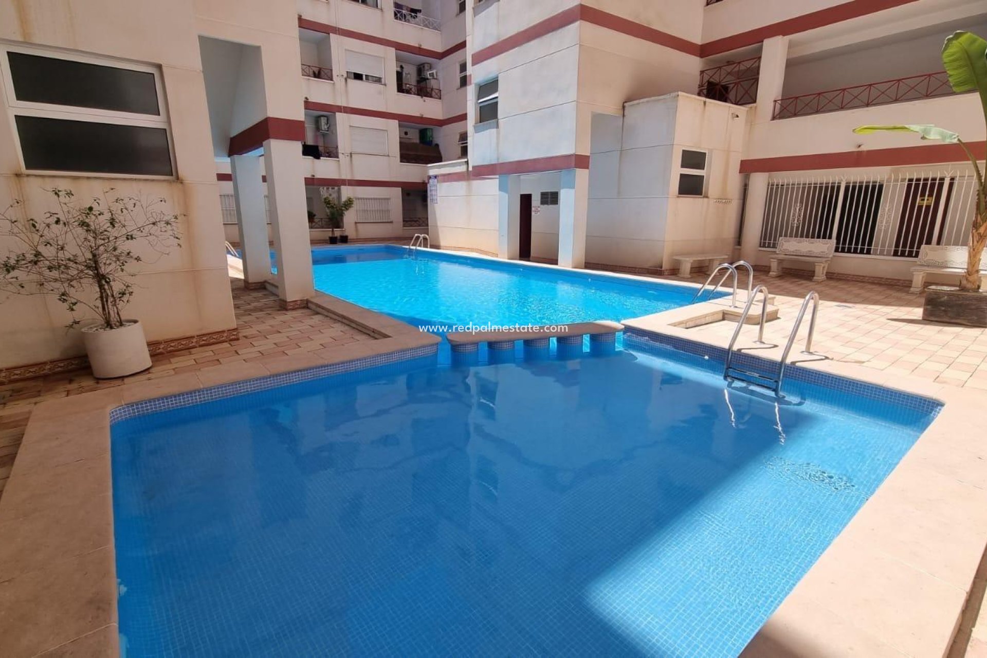 Revente - Appartements -
Torrevieja - Centro Torrevieja