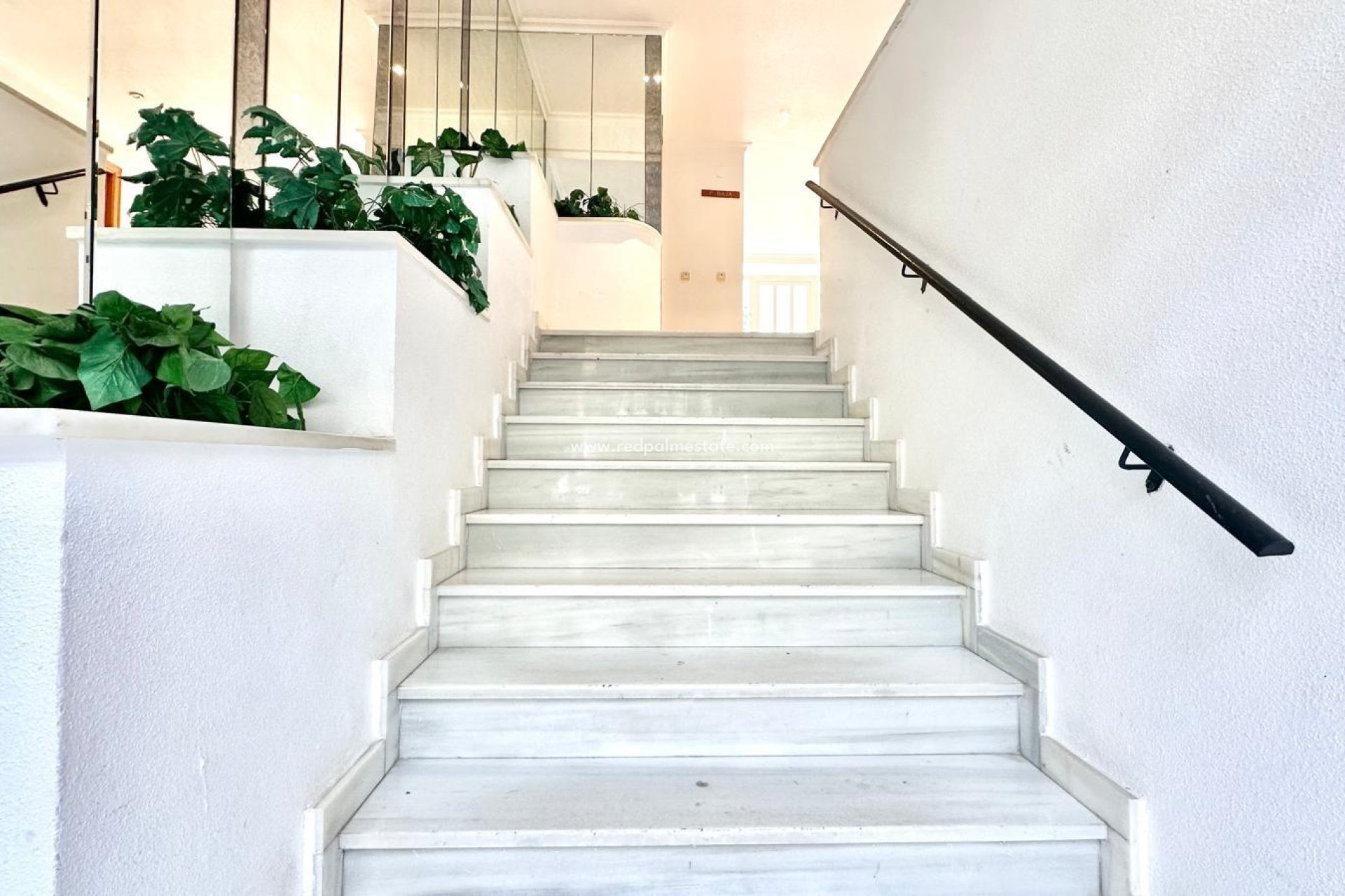 Revente - Appartements -
Torrevieja - Centro Torrevieja