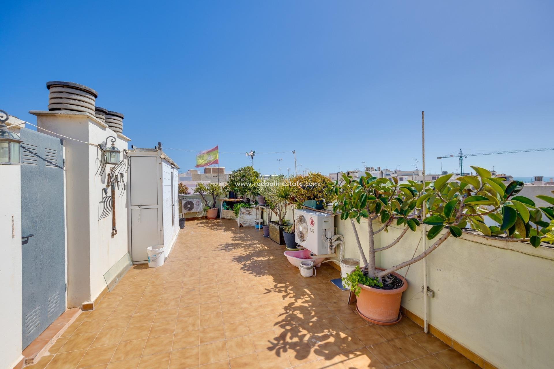 Revente - Appartements -
Torrevieja - Centro Torrevieja