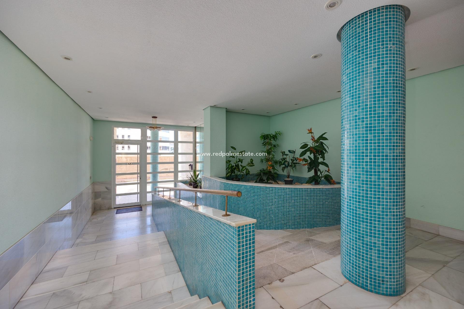 Revente - Appartements -
Torrevieja - Centro Torrevieja