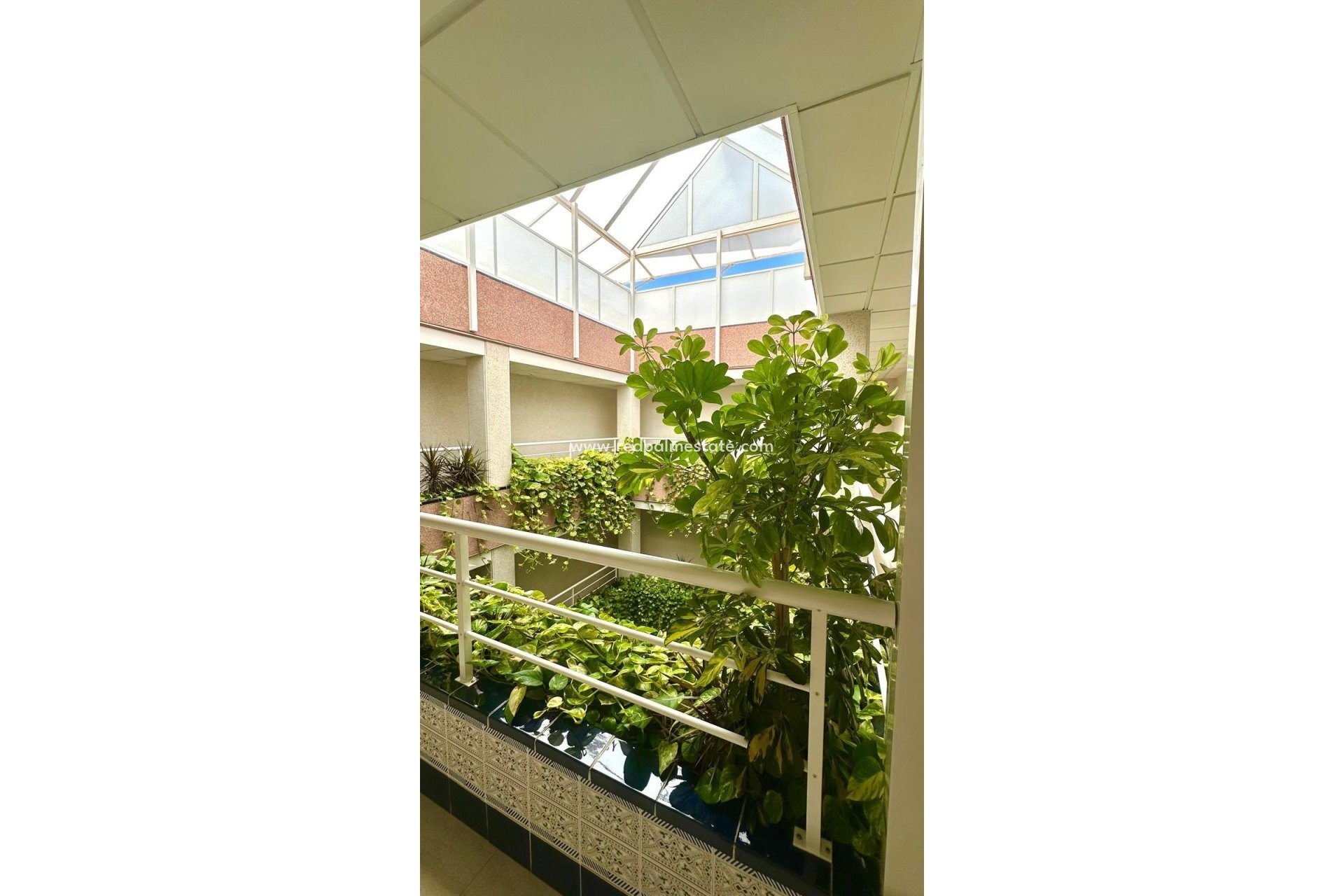 Revente - Appartements -
Torrevieja - Centro