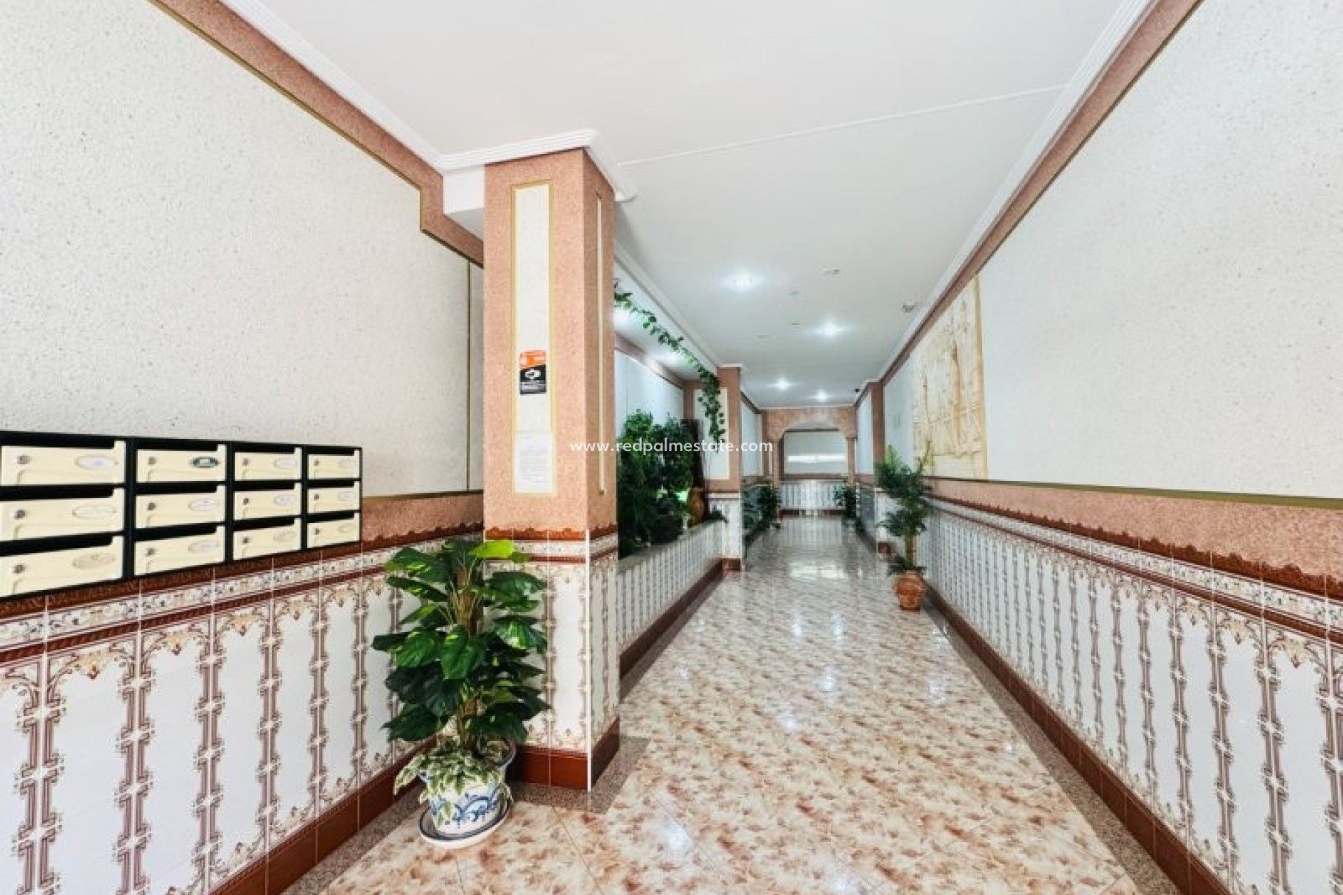 Revente - Appartements -
Torrevieja - Costa Blanca