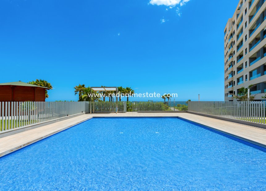 Revente - Appartements -
Torrevieja - Costa Blanca
