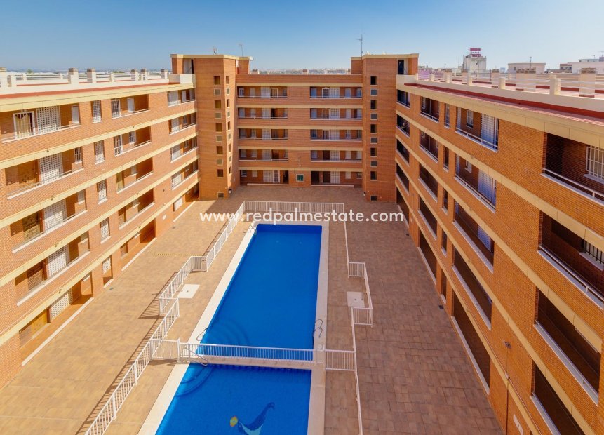 Revente - Appartements -
Torrevieja - El Acequión - Los Náufragos