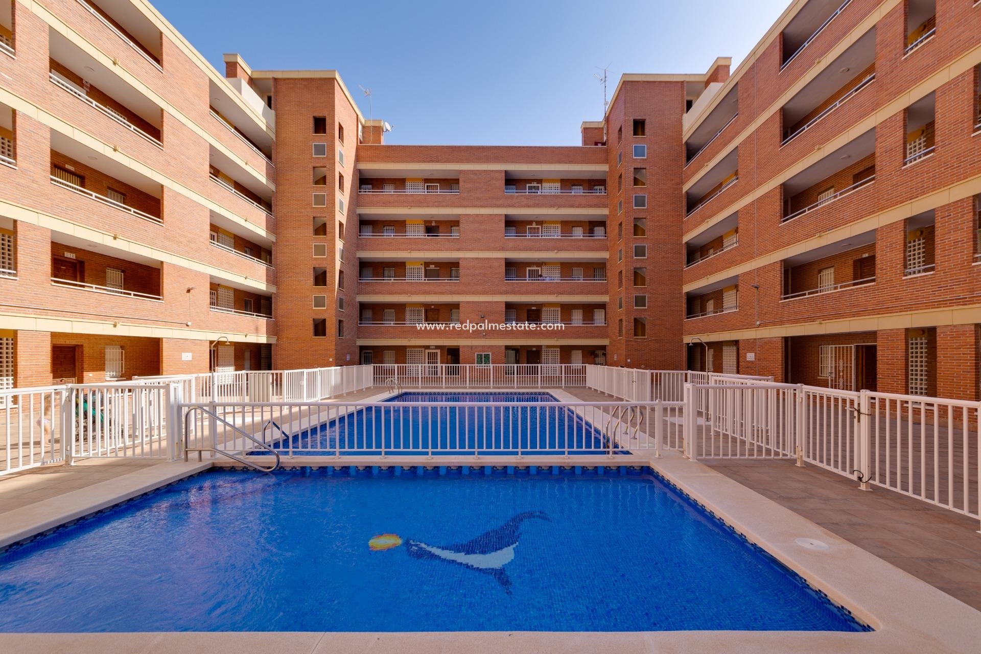 Revente - Appartements -
Torrevieja - El Acequión - Los Náufragos