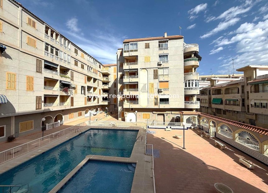 Revente - Appartements -
Torrevieja - El Acequión - Los Náufragos
