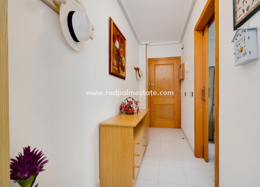 Revente - Appartements -
Torrevieja - El Acequión - Los Náufragos