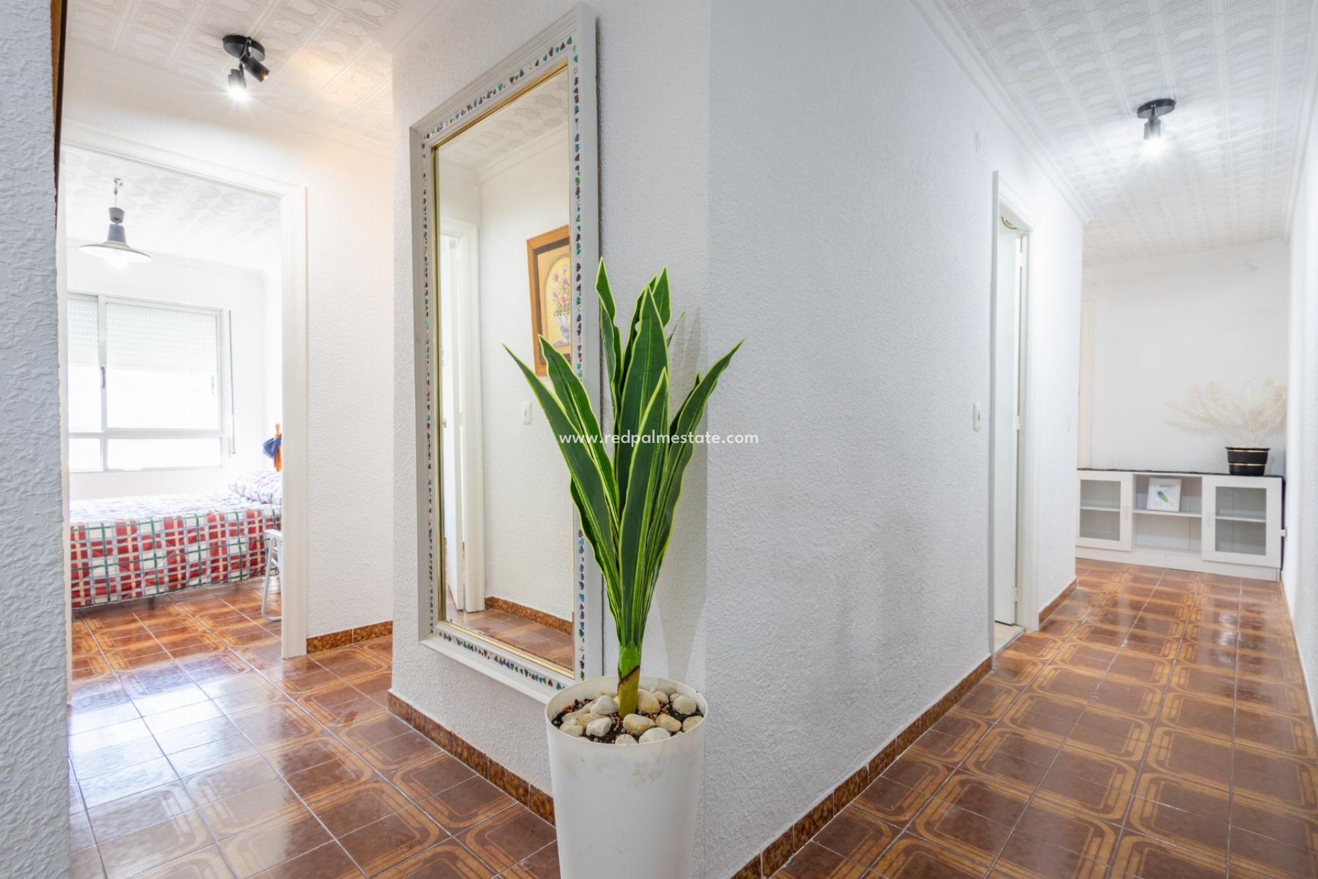 Revente - Appartements -
Torrevieja - El Acequión - Los Náufragos