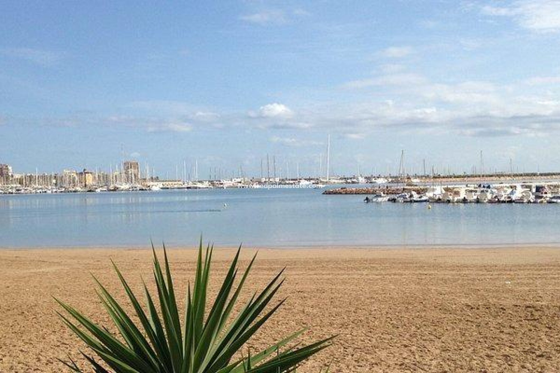 Revente - Appartements -
Torrevieja - El Acequión - Los Náufragos