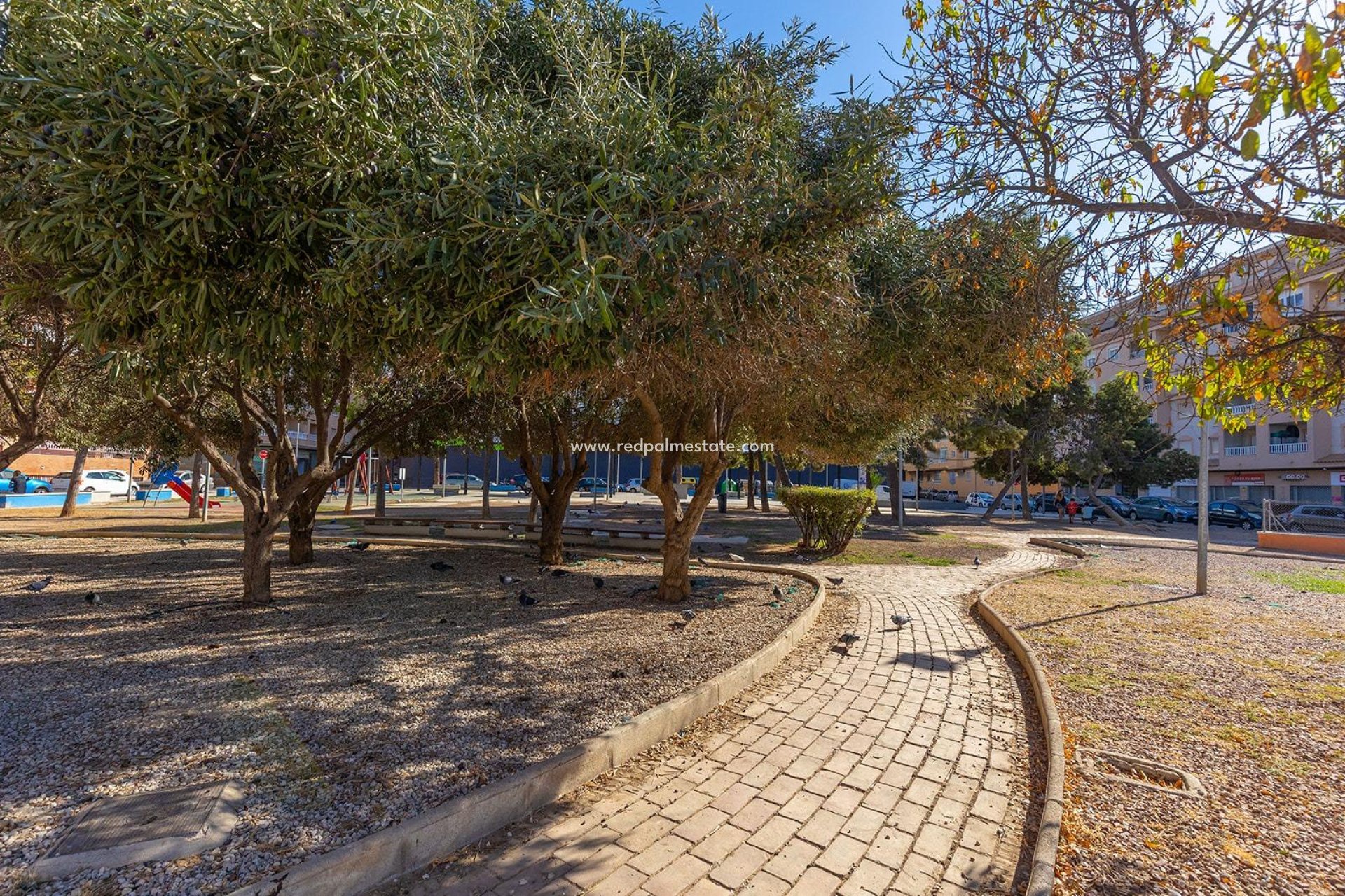 Revente - Appartements -
Torrevieja - El molino