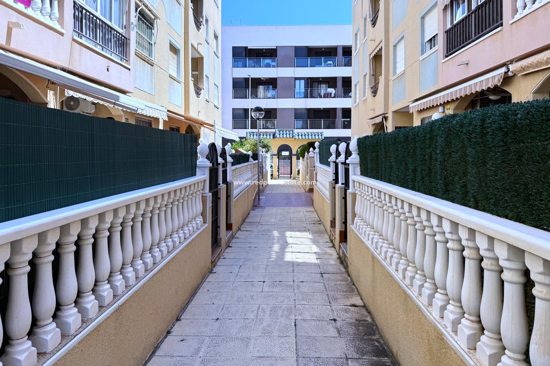 Revente - Appartements -
Torrevieja - La Mata