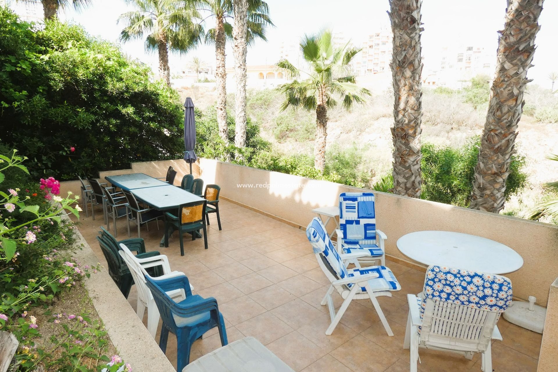 Revente - Appartements -
Torrevieja - La Mata