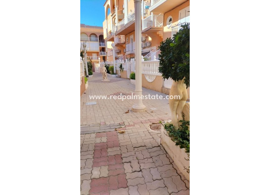 Revente - Appartements -
Torrevieja - La Mata
