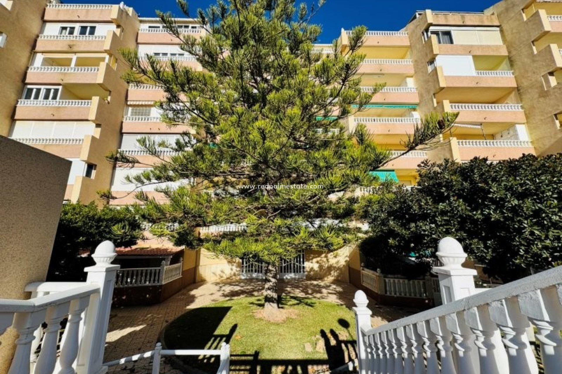Revente - Appartements -
Torrevieja - La Mata