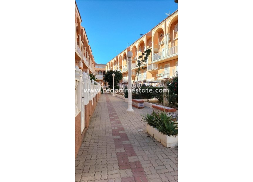 Revente - Appartements -
Torrevieja - La Mata