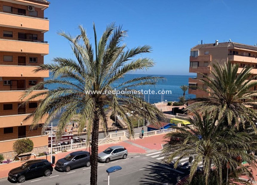 Revente - Appartements -
Torrevieja - La Mata
