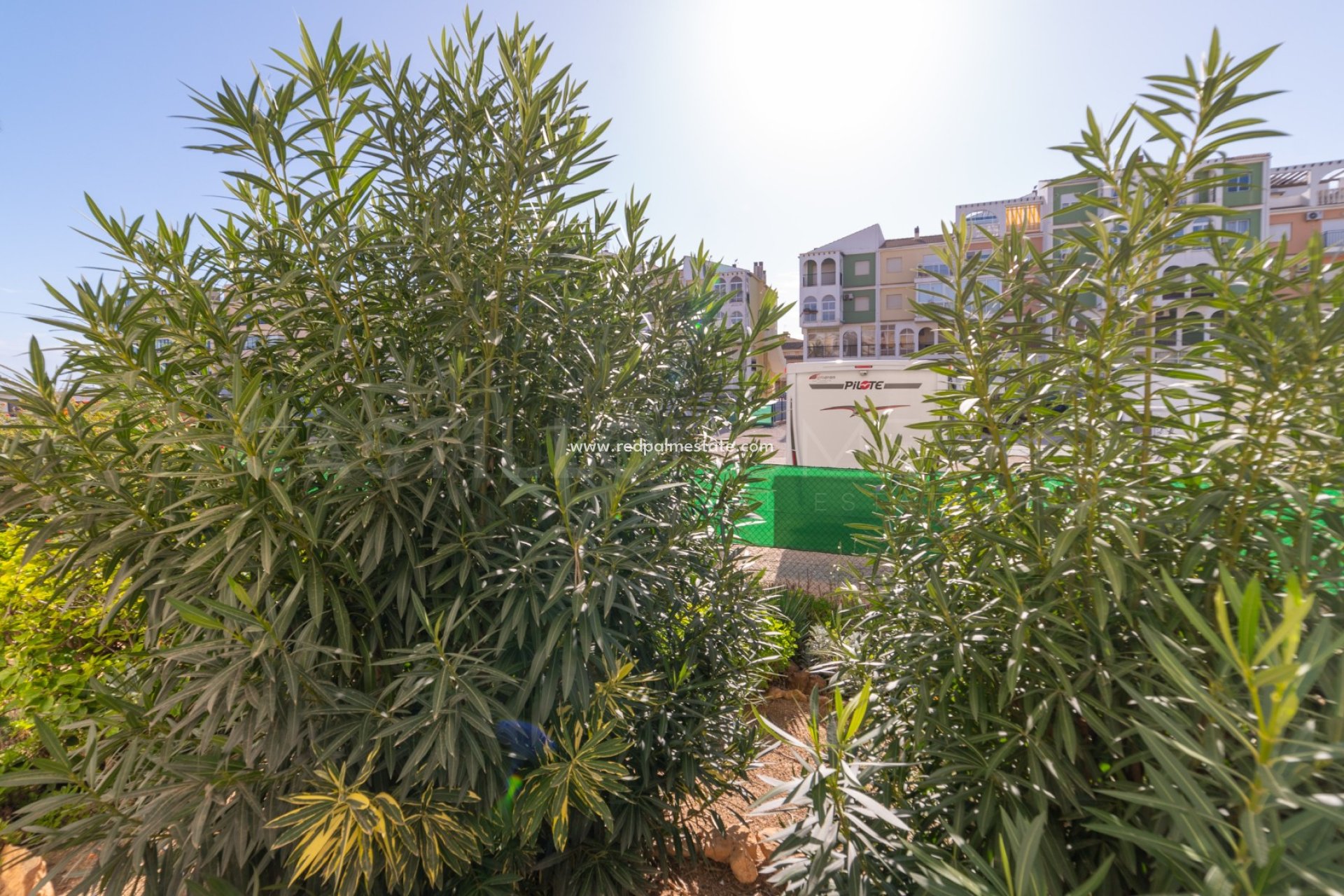 Revente - Appartements -
Torrevieja - La Veleta