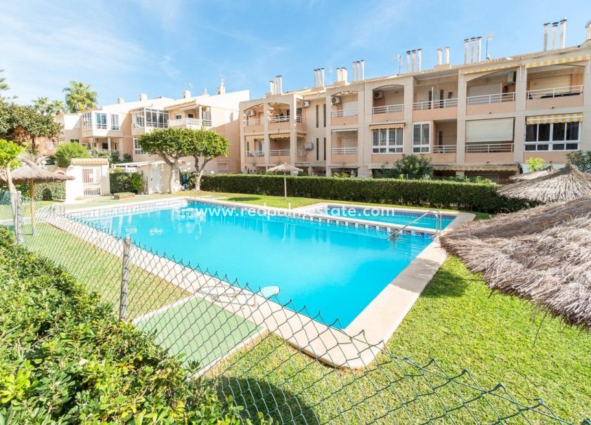 Revente - Appartements -
Torrevieja - Los Frutales