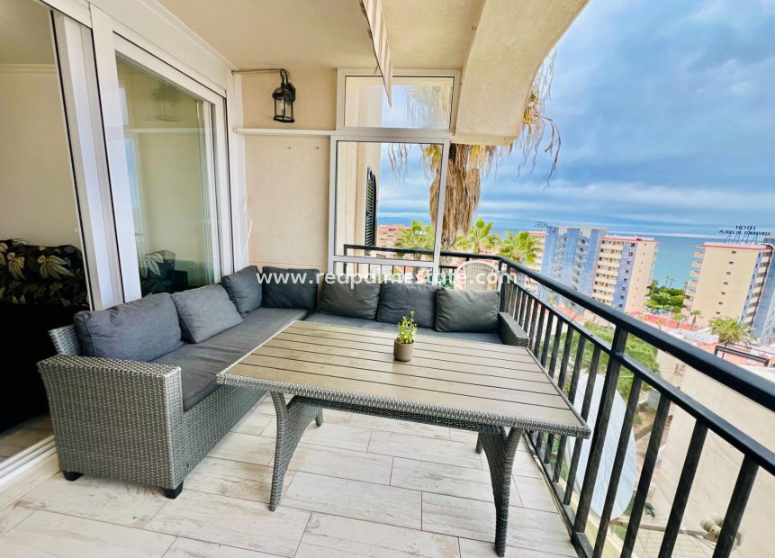 Revente - Appartements -
Torrevieja - Miramar - Torre Del Moro