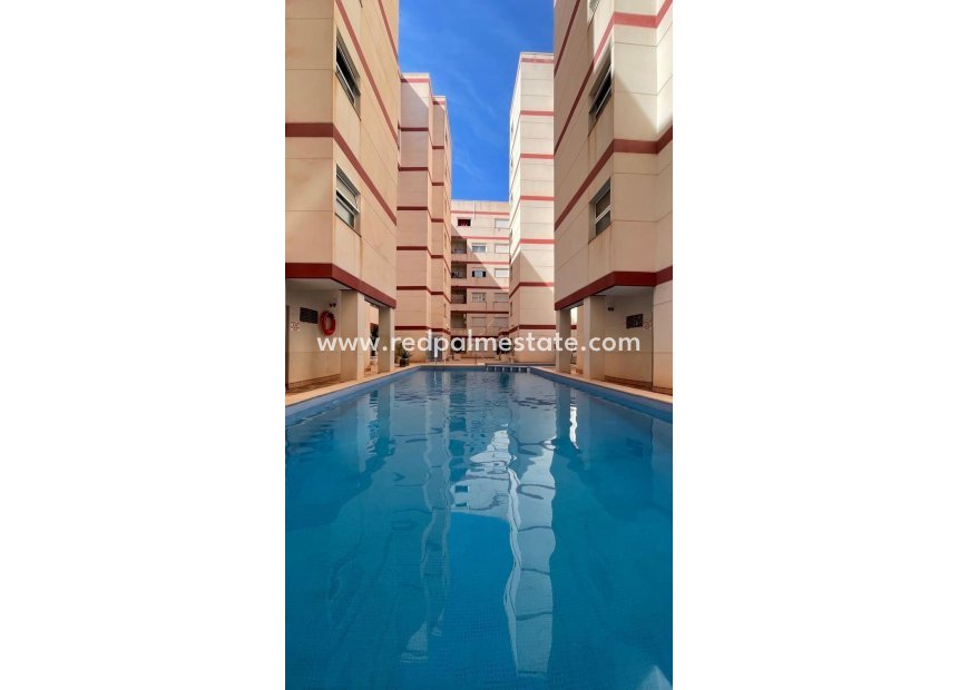 Revente - Appartements -
Torrevieja - PARQUE DE LAS NACIONES