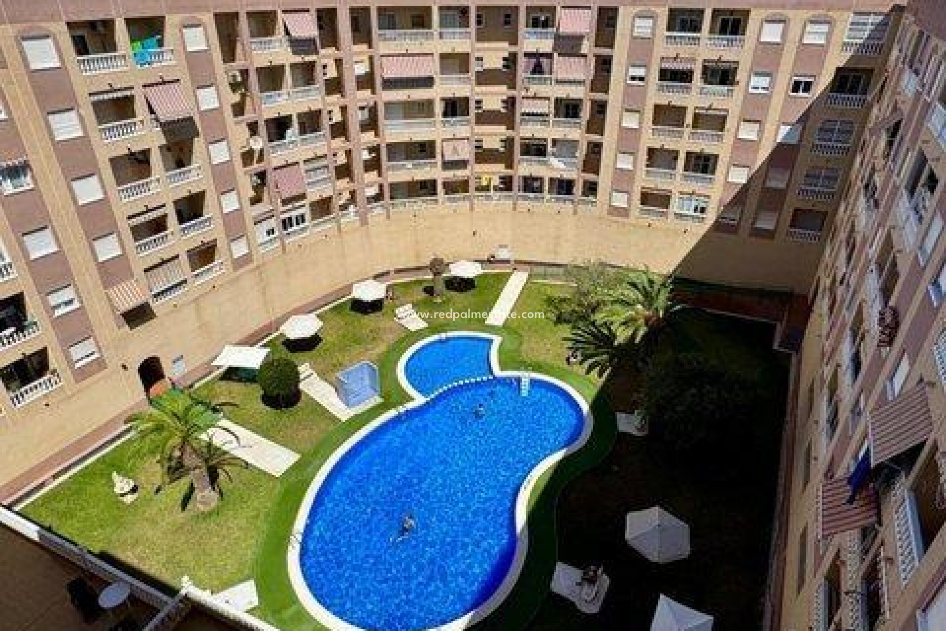 Revente - Appartements -
Torrevieja - PARQUE DE LAS NACIONES