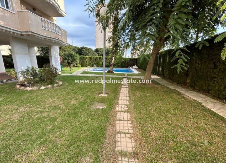 Revente - Appartements -
Torrevieja - Parque las naciones