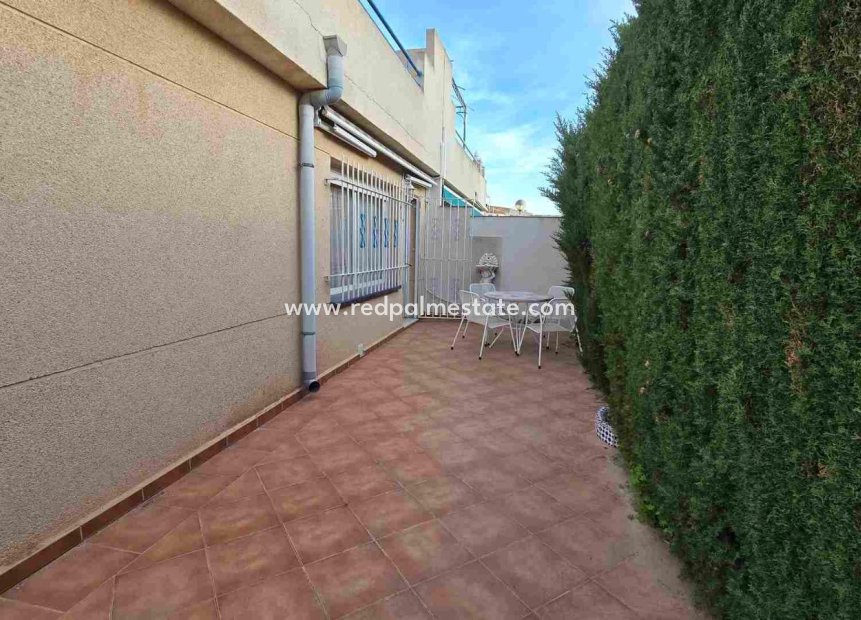Revente - Appartements -
Torrevieja - Playa de los locos