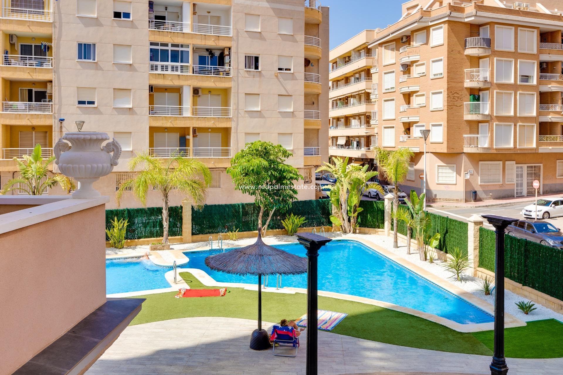 Revente - Appartements -
Torrevieja - Playa de los Locos