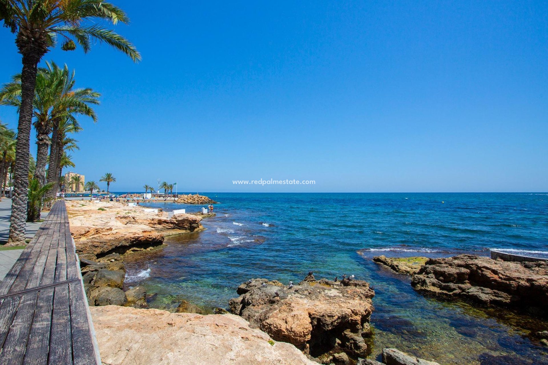 Revente - Appartements -
Torrevieja - Playa del Cura