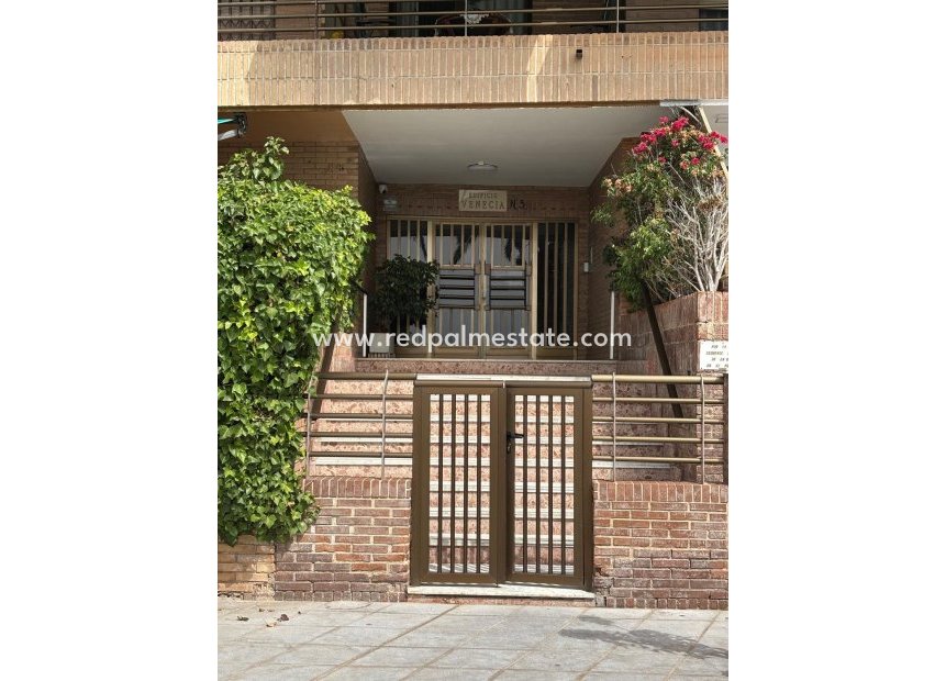 Revente - Appartements -
Torrevieja - Playa del cura