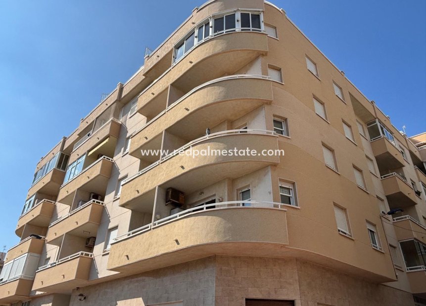 Revente - Appartements -
Torrevieja - Playa del Cura