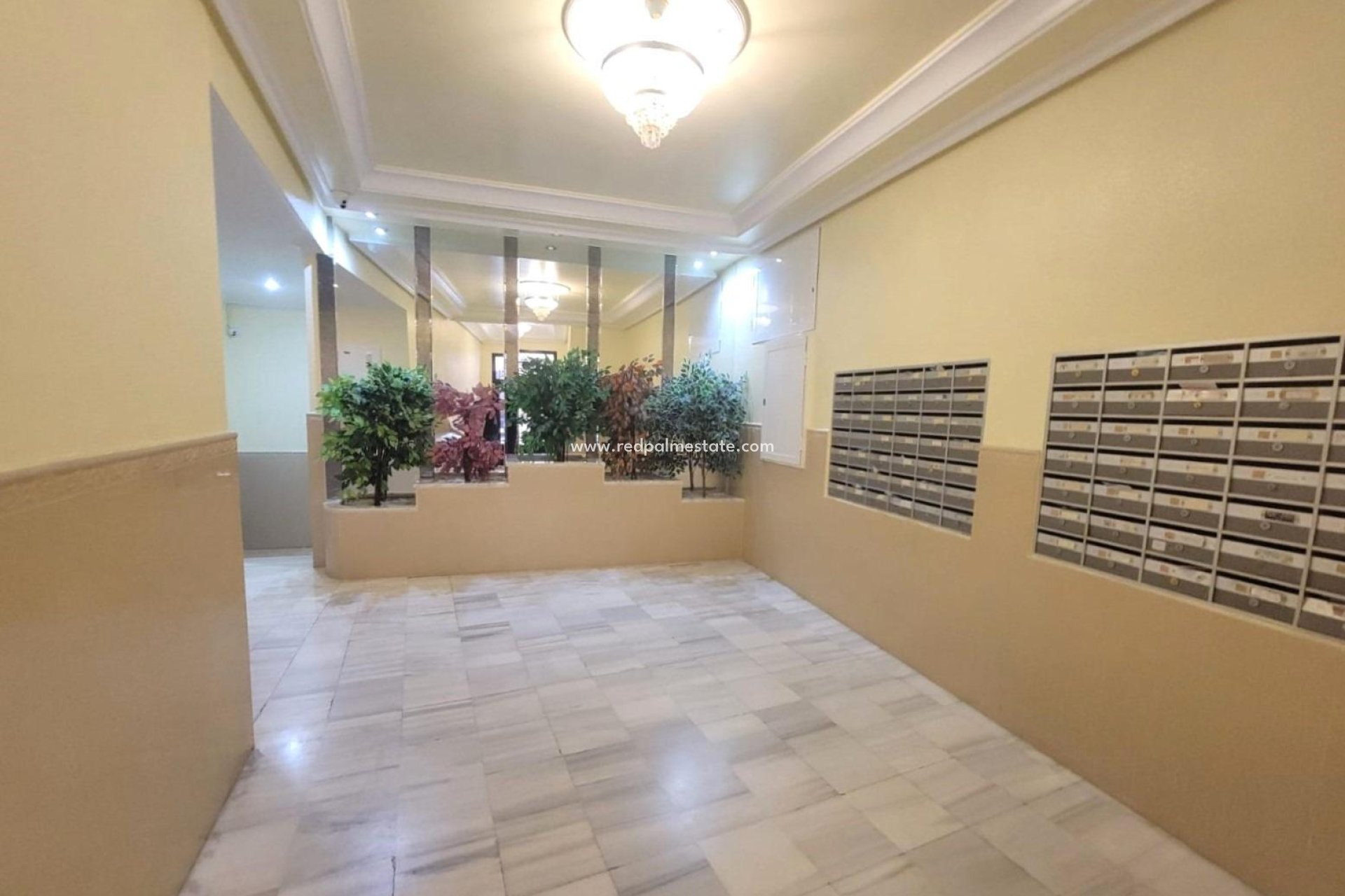 Revente - Appartements -
Torrevieja - Playa del Cura