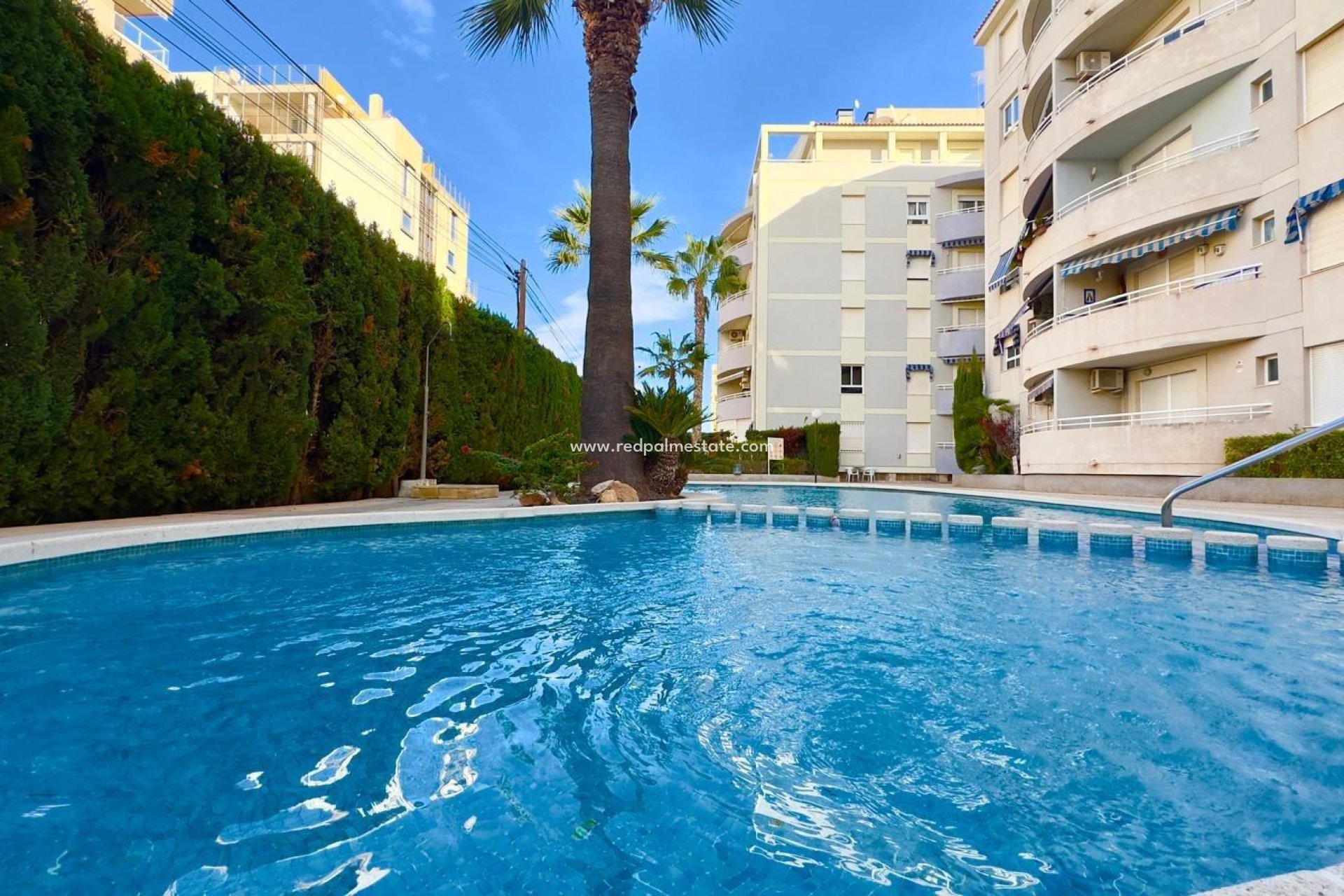 Revente - Appartements -
Torrevieja - Playa del Cura