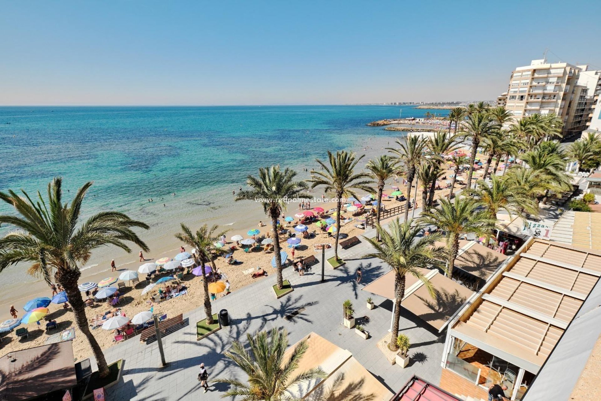 Revente - Appartements -
Torrevieja - Playa del Cura