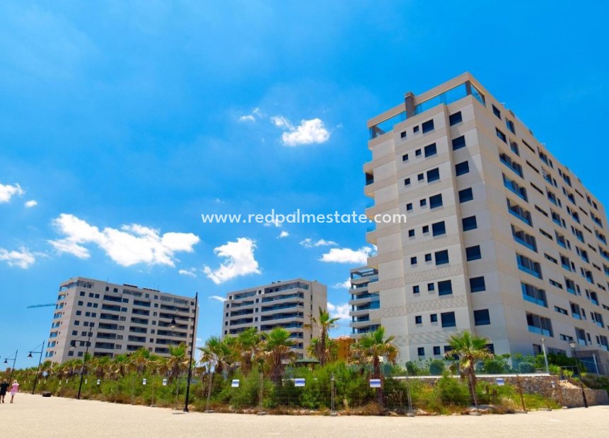 Revente - Appartements -
Torrevieja - Punta prima