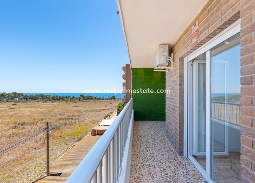 Revente - Appartements -
Torrevieja - Punta prima
