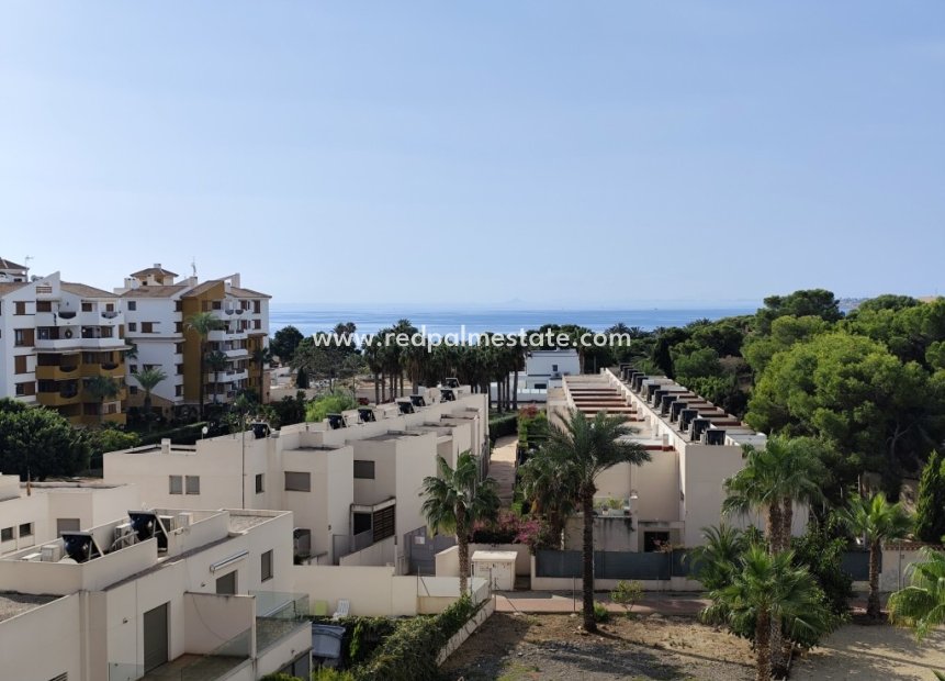 Revente - Appartements -
Torrevieja - Punta prima