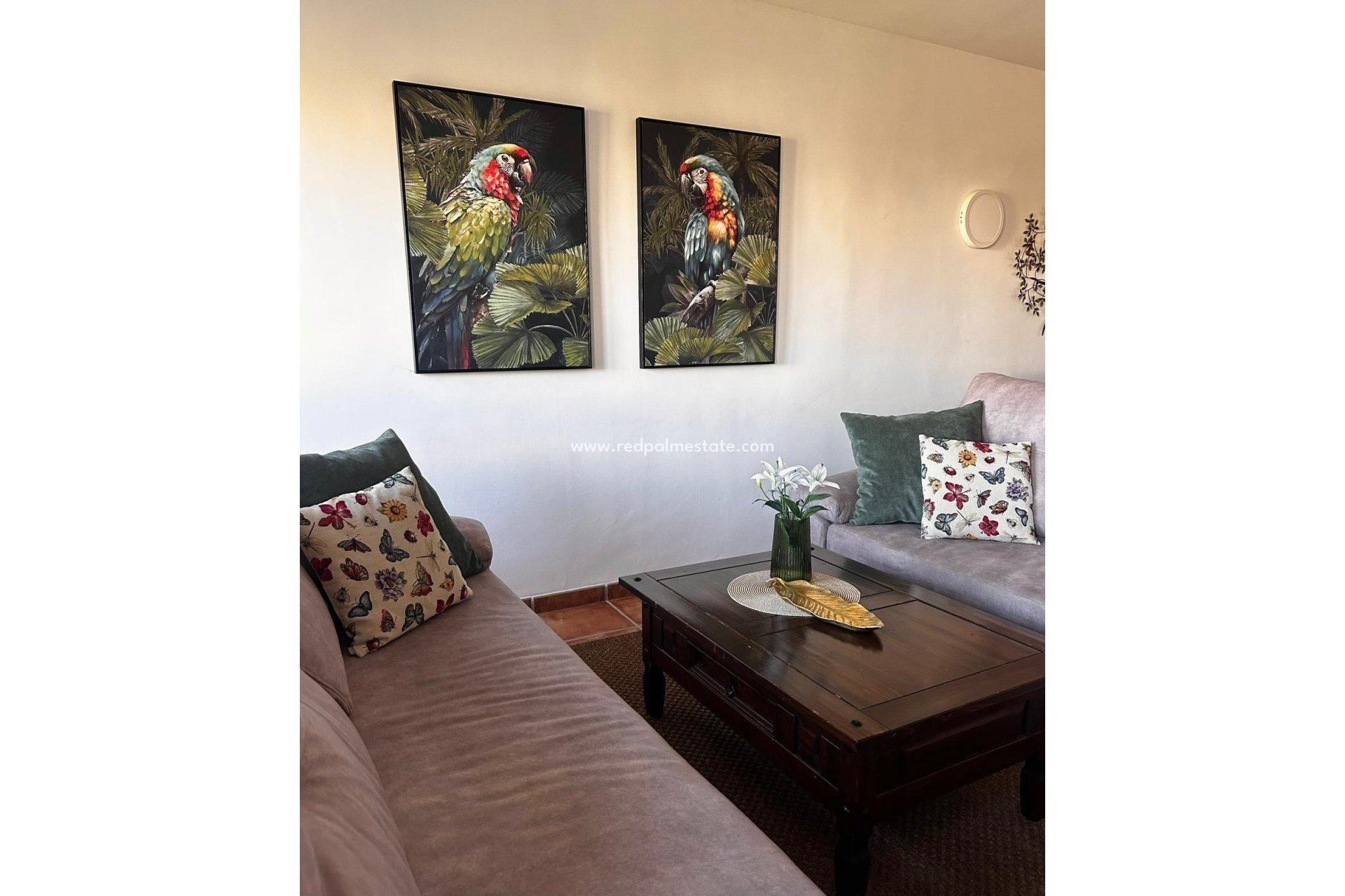 Revente - Appartements -
Torrevieja - Punta prima